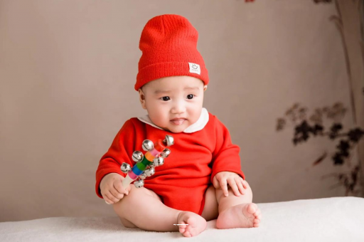 大丰新加坡10大助孕机构排名揭晓过来人经验分享